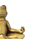 Frog meditating in lotus pose